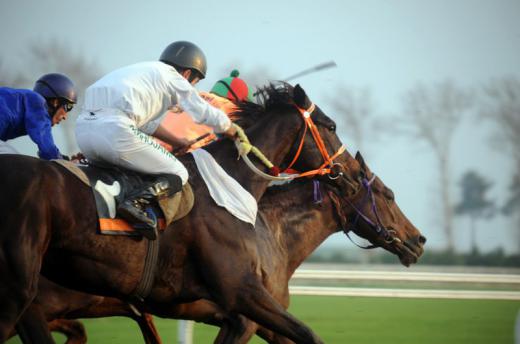 یک اسب مسابقه که هر کیلومتر را تنها چند ثانیه زودتر می‌دود وبرنده می‌شودچندین برابر اسبهای دیگر می‌ارزد